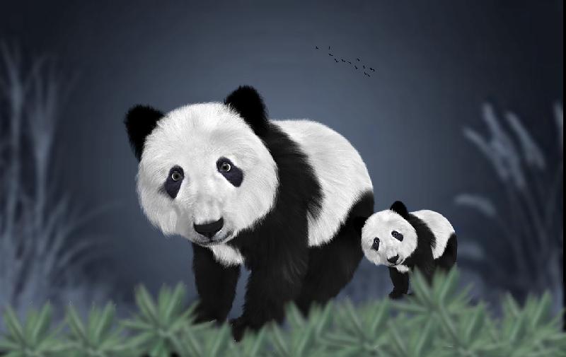 Иллюстрация рубрики: Скачать звуки китайской панды
